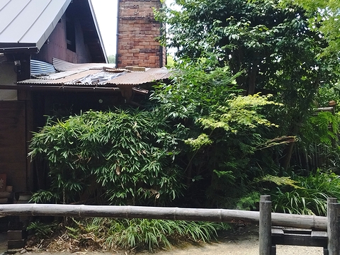 秋篠窯