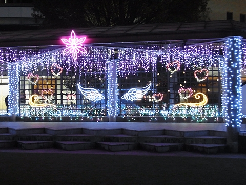 たかのはらイルミネーション2025-26(5)